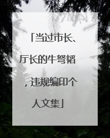 当过市长、厅长的牛弩韬，违规编印个人文集