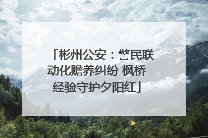 彬州公安：警民联动化赡养纠纷 枫桥经验守护夕阳红