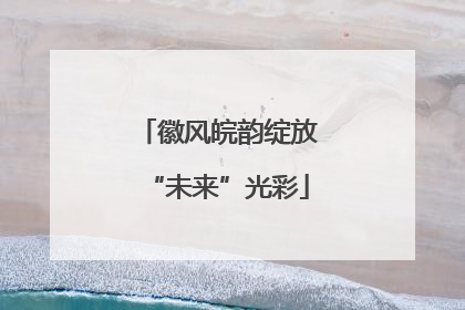 徽风皖韵绽放“未来”光彩