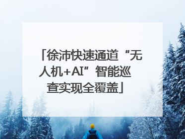 徐沛快速通道“无人机+AI”智能巡查实现全覆盖