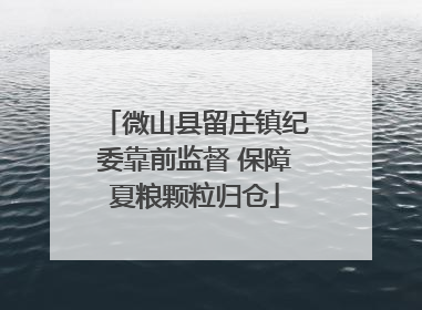 微山县留庄镇纪委靠前监督 保障夏粮颗粒归仓