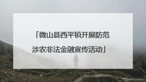 微山县西平镇开展防范涉农非法金融宣传活动
