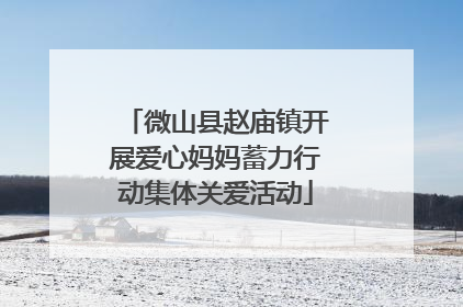 微山县赵庙镇开展爱心妈妈蓄力行动集体关爱活动