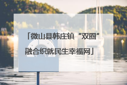 微山县韩庄镇“双圈”融合织就民生幸福网