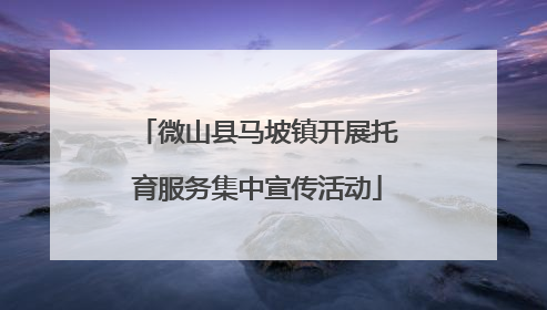 微山县马坡镇开展托育服务集中宣传活动