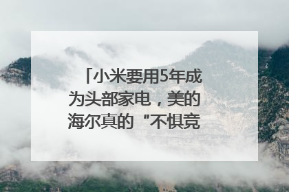 小米要用5年成为头部家电，美的海尔真的“不惧竞争”？｜热财经