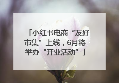 小红书电商“友好市集”上线，6月将举办“开业活动”