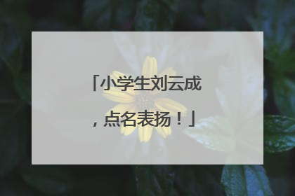小学生刘云成，点名表扬！