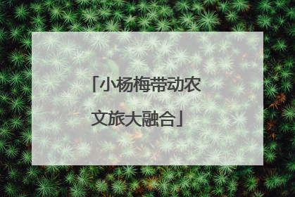 小杨梅带动农文旅大融合