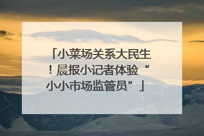 小菜场关系大民生！晨报小记者体验“小小市场监管员”