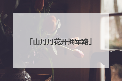 山丹丹花开拥军路