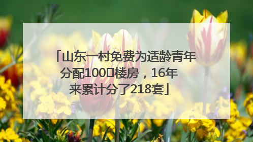 山东一村免费为适龄青年分配100㎡楼房，16年来累计分了218套