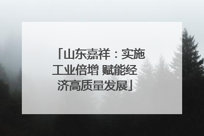 山东嘉祥：实施工业倍增 赋能经济高质量发展
