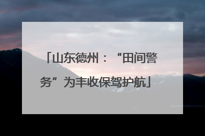 山东德州：“田间警务”为丰收保驾护航