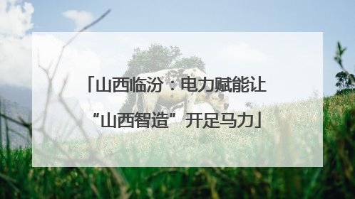 山西临汾：电力赋能让“山西智造”开足马力
