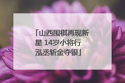山西围棋再现新星 14岁小将行泓丞斩金夺银