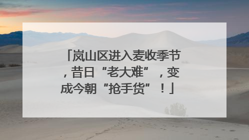 岚山区进入麦收季节，昔日“老大难”，变成今朝“抢手货”！