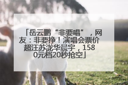岳云鹏“非要唱”，网友：非要挣！演唱会票价超汪苏泷华晨宇，1580元档20秒抢空