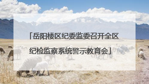 岳阳楼区纪委监委召开全区纪检监察系统警示教育会
