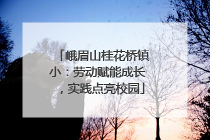 峨眉山桂花桥镇小：劳动赋能成长，实践点亮校园