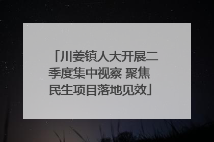 川姜镇人大开展二季度集中视察 聚焦民生项目落地见效