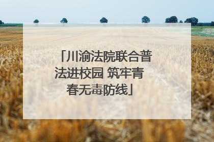 川渝法院联合普法进校园 筑牢青春无毒防线