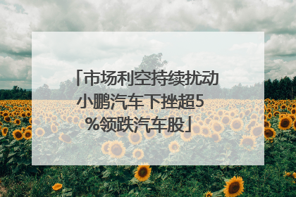 市场利空持续扰动 小鹏汽车下挫超5%领跌汽车股