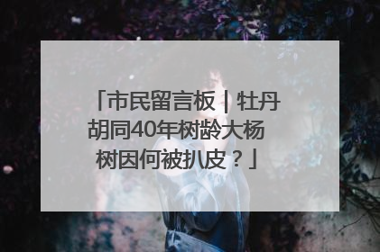 市民留言板｜牡丹胡同40年树龄大杨树因何被扒皮？