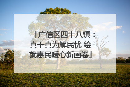 广信区四十八镇：真干真为解民忧 绘就惠民暖心新画卷