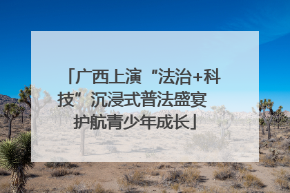 广西上演“法治+科技”沉浸式普法盛宴 护航青少年成长
