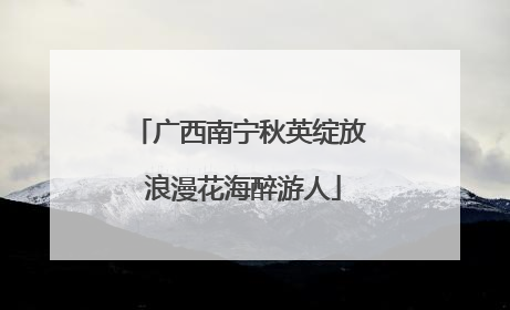 广西南宁秋英绽放 浪漫花海醉游人