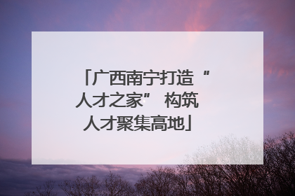 广西南宁打造“人才之家” 构筑人才聚集高地