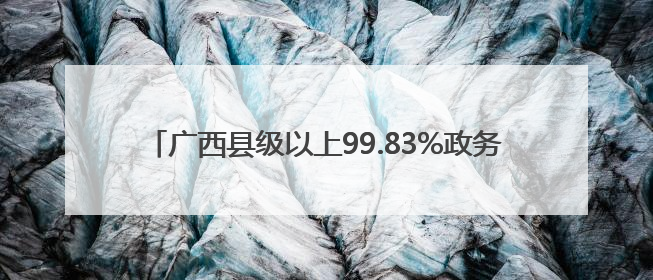 广西县级以上99.83%政务服务事项实现“最多跑一次”