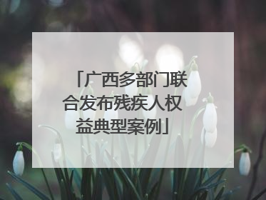 广西多部门联合发布残疾人权益典型案例