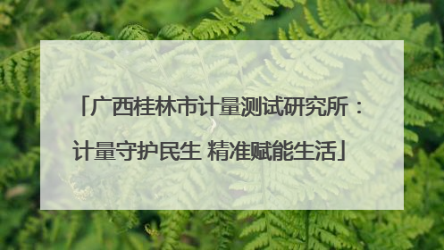 广西桂林市计量测试研究所：计量守护民生 精准赋能生活