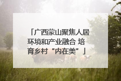广西蒙山聚焦人居环境和产业融合 培育乡村“内在美”