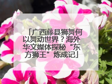 广西藤县狮舞何以舞动世界？海外华文媒体探秘“东方狮王”炼成记