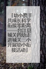 幼小携手共成长科学衔接零距离——台江县城关四幼走进城关三小开展幼小衔接活动