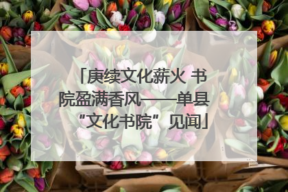 庚续文化薪火 书院盈满香风——单县“文化书院”见闻