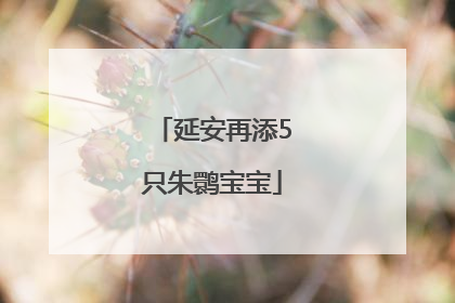 延安再添5只朱鹮宝宝