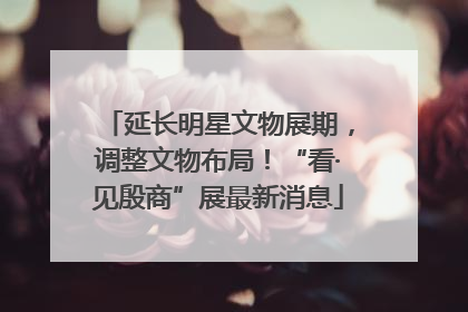 延长明星文物展期，调整文物布局！“看·见殷商”展最新消息