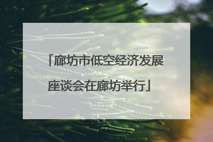 廊坊市低空经济发展座谈会在廊坊举行