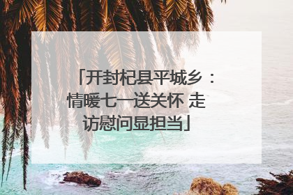 开封杞县平城乡：情暖七一送关怀 走访慰问显担当
