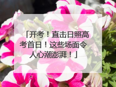 开考！直击日照高考首日！这些场面令人心潮澎湃！