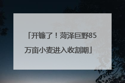 开镰了！菏泽巨野85万亩小麦进入收割期