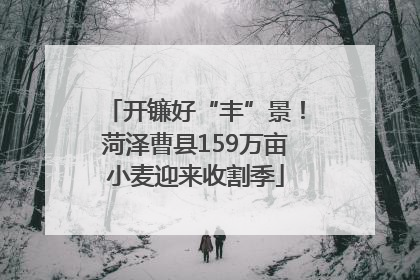 开镰好“丰”景！菏泽曹县159万亩小麦迎来收割季