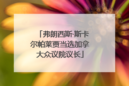 弗朗西斯·斯卡尔帕莱贾当选加拿大众议院议长
