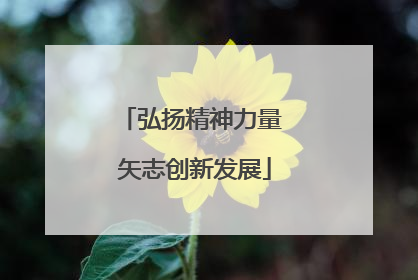 弘扬精神力量 矢志创新发展