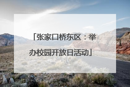 张家口桥东区：举办校园开放日活动