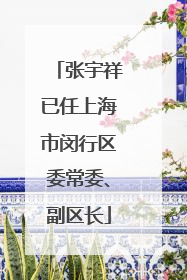张宇祥已任上海市闵行区委常委、副区长